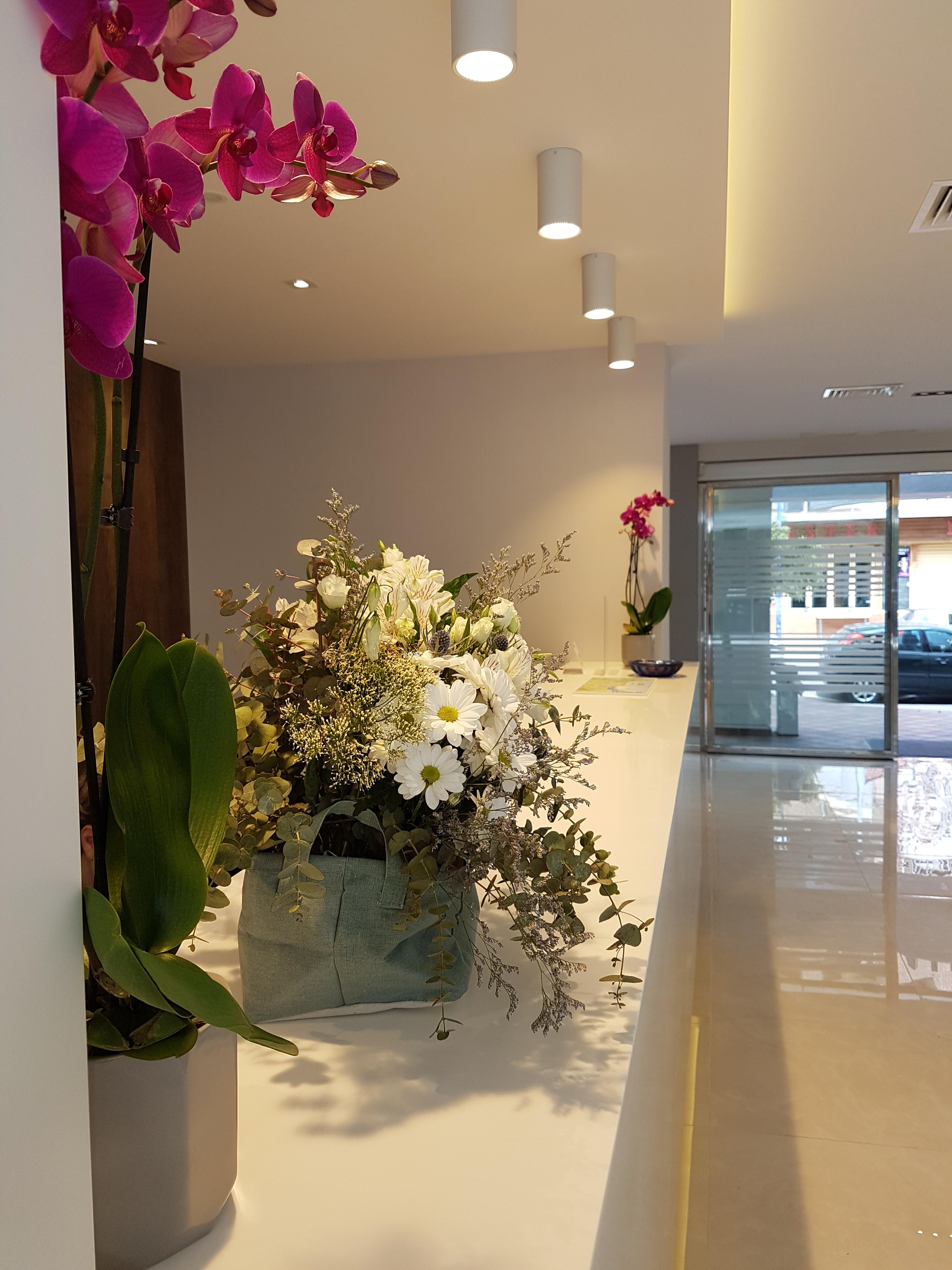 Hotel Perla เบนิดอร์ม ภายนอก รูปภาพ